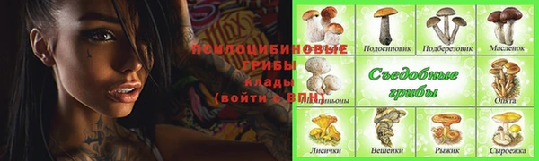 дмт Абаза
