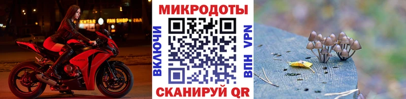 KRAKEN сайт  Инза  Галлюциногенные грибы MAGIC MUSHROOMS 